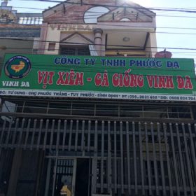 Địa chỉ mua gà con giống uy tín tại Quy Nhơn