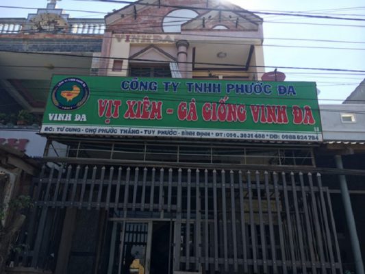 Địa chỉ mua gà con giống uy tín tại Quy Nhơn