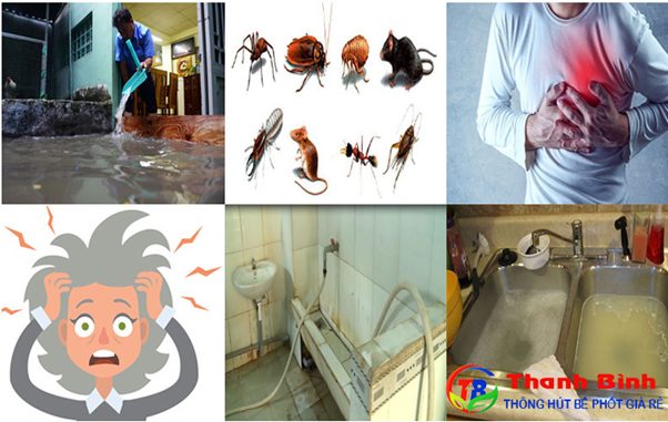 Cách thông cống nghẹt hiệu quả và địa chỉ thông cầu cống nghẹt uy tín, giá cả cạnh tranh