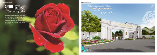 Khu Biệt thự La Saveur Hòa Bình