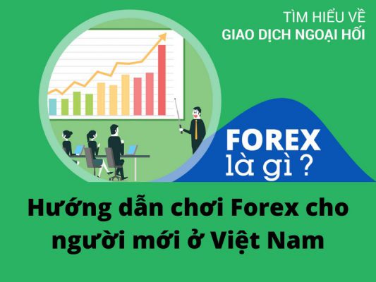 Forex cho người mới bắt đầu ở Việt Nam