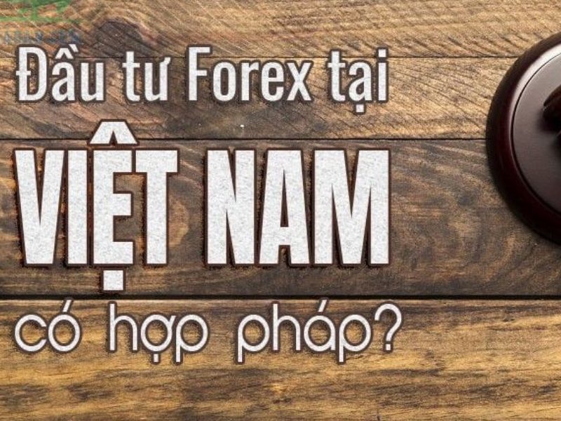 Forex cho người mới bắt đầu ở Việt Nam