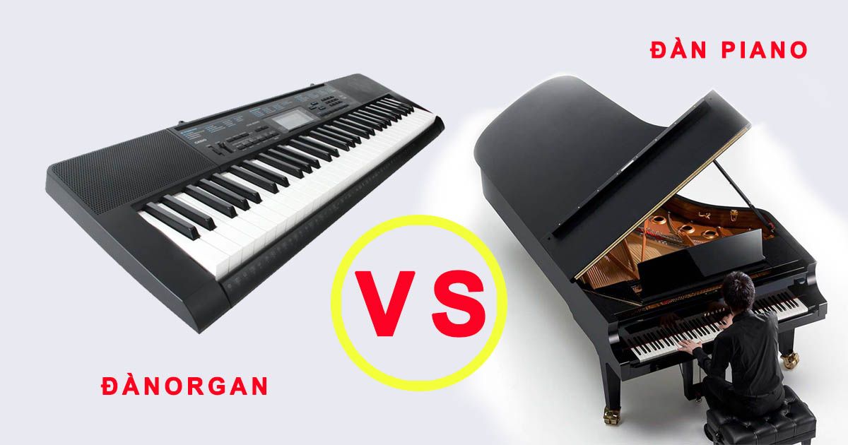 [Hỏi Đáp] Piano và Organ khác nhau như thế nào?