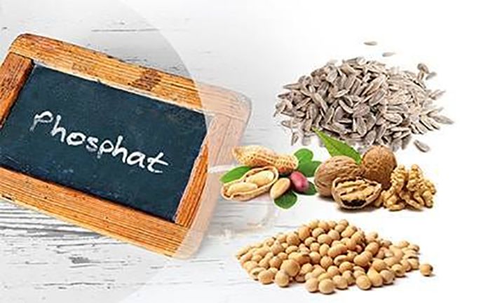Cách chẩn đoán và điều trị tăng phospho máu cho người bệnh thận