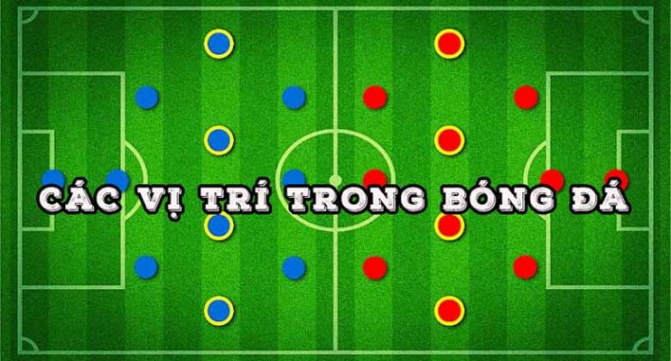Ý nghĩa, vai trò và nhiệm vụ của các vị trí trong bóng đá