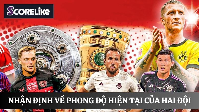 Nhận định bóng đá tại Scorelike chính xác và liên tục 24/7 