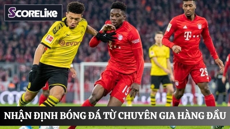 Nhận định bóng đá tại Scorelike chính xác và liên tục 24/7 