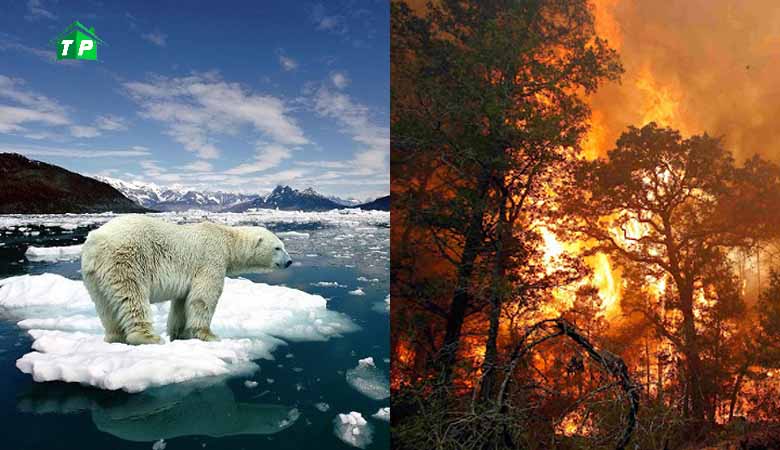 Nguyên nhân nóng lên toàn cầu và những hậu quả đáng lo ngại – Trách nhiệm của công ty môi trường Thịnh Phát trong việc chung tay bảo vệ môi trường 